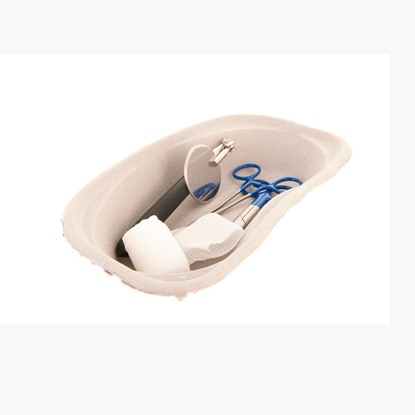 Stainless Scissors Blue